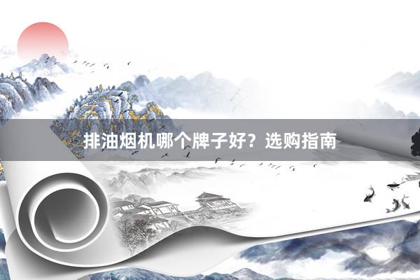 排油烟机哪个牌子好？选购指南